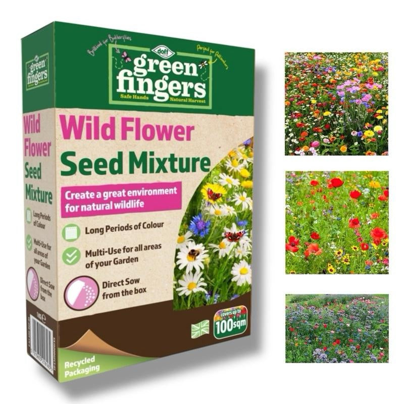 DOFF Green Fingers - Wildflower Seed Mix 1kg - Covers 100m², Attracts Bees & Butterflies, Easy to Grow