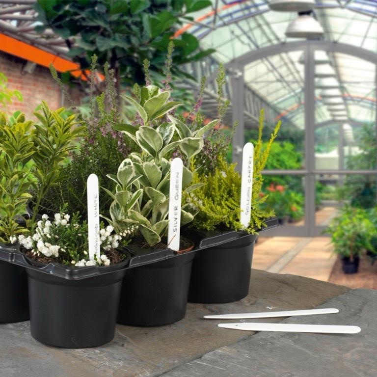 Plant Labels 5” (10cm) | Pack of 100 | Garden Markers for Seedlings, Herbs, Flowers & Vegetables | Reusable, Weatherproof & Easy-to-Write Surface White